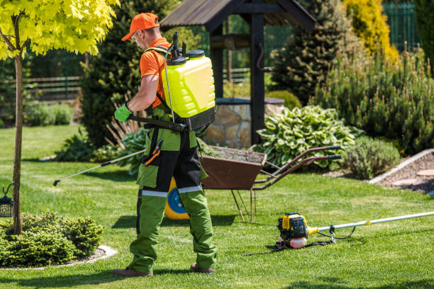 Best Organic or Eco-Friendly Pest Control  in White Salmon, WA